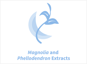 Magnolia and Phellodendron Extract